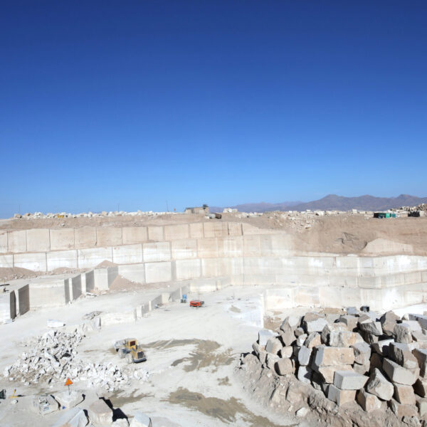 BE3A1776 scaled 3 600x600