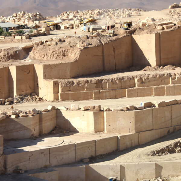 IMG 3863 scaled 3 600x600