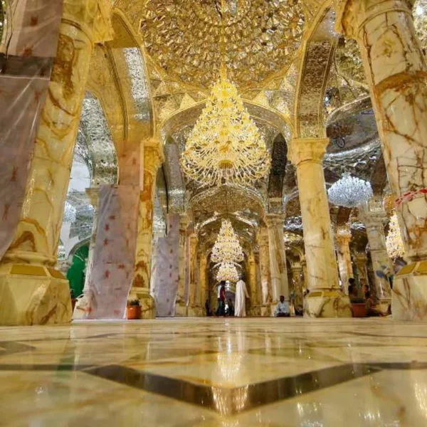 Photo 2017 08 12 08 25 05 600x600